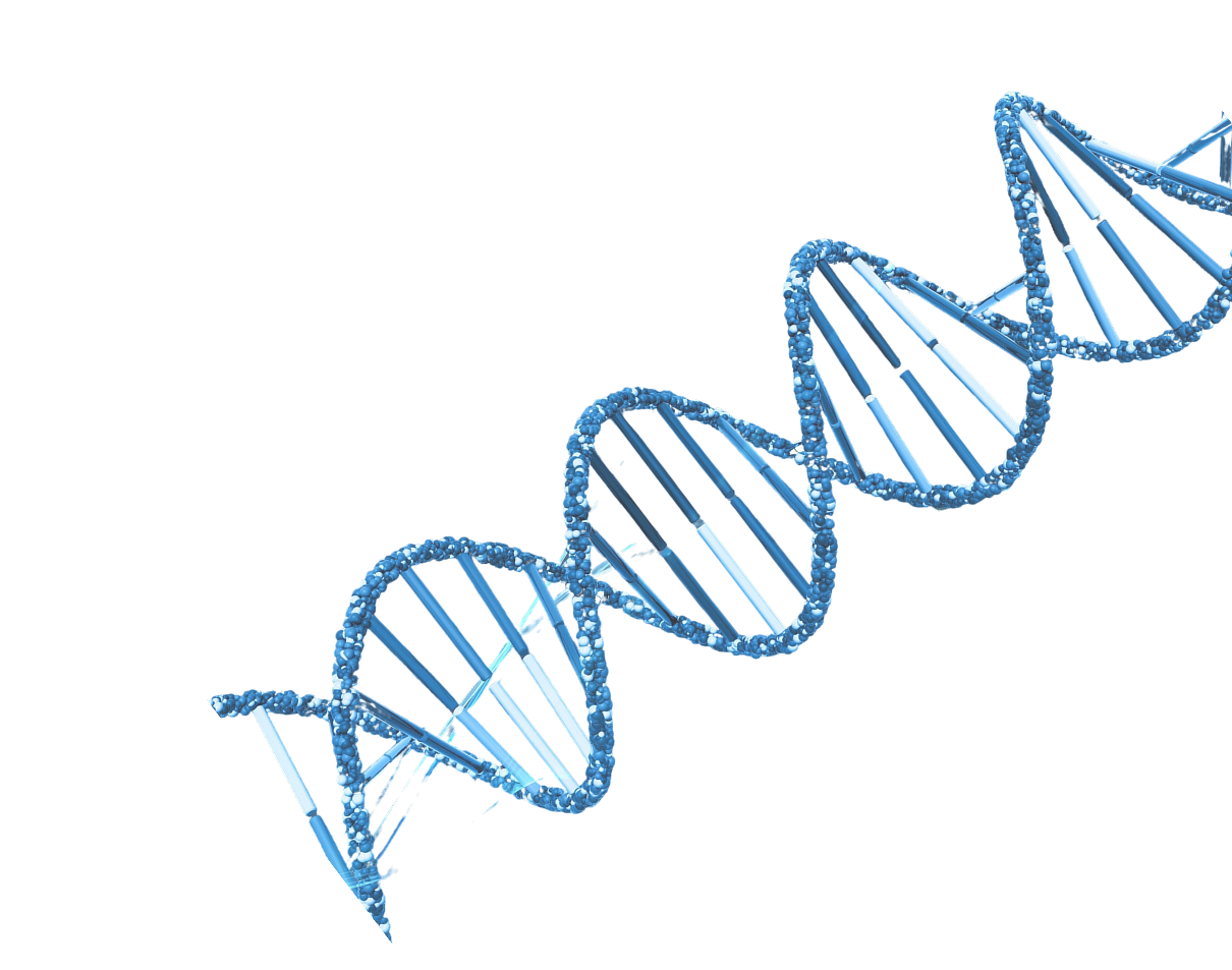 DNA Helix